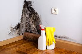 Why You Should Choose Our Mold Remediation Services in Knightsen, CA